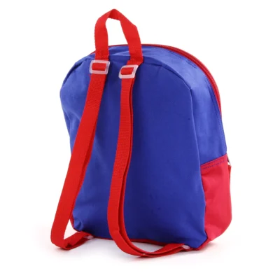 Mini Backpack- 11