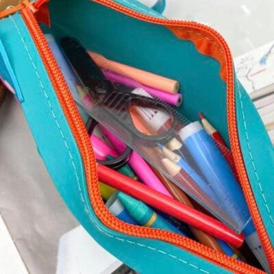Pencil Case- Silicone Dino