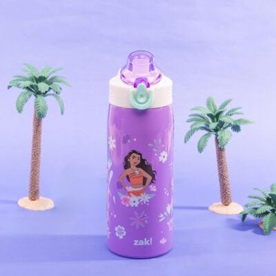 Zak! Disney Princess Water Bottle 19oz Stainless Steel