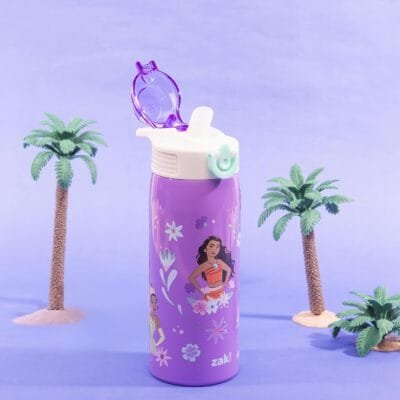 Zak! Disney Princess Water Bottle 19oz Stainless Steel