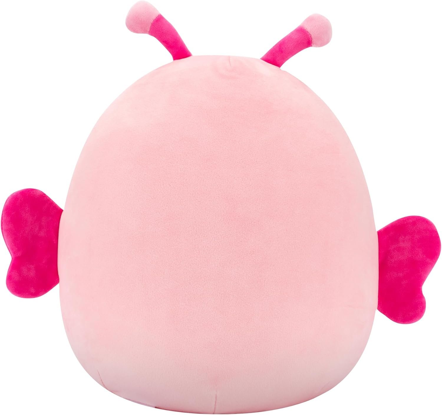 71G1T80ba3L._AC_SL1500_