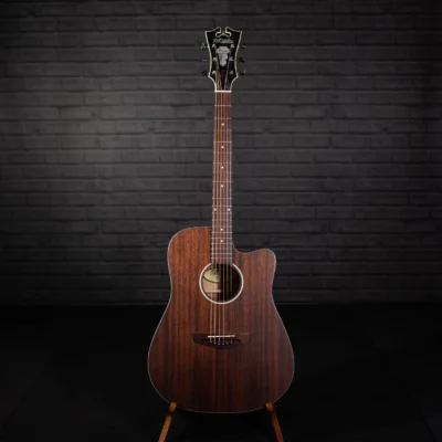 D'Angelico Premier Bowery LS- Acoustic-Electric Guitar