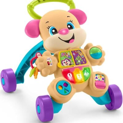 Fisher Price Sis Walker