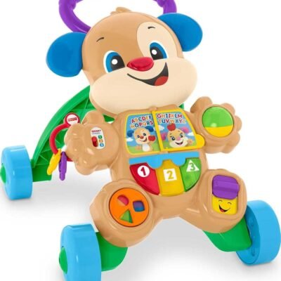 Fisher Price Puppy Walker