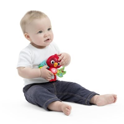 Baby Einstein Roxy's Musical Teether