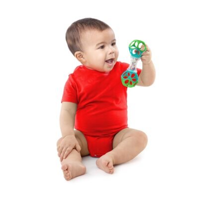 Bright Starts Teethable Shaker Toy